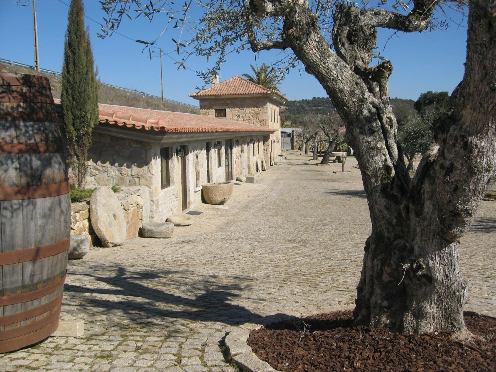 Quinta Das Pias - Holiday Farm 핀헬 외부 사진